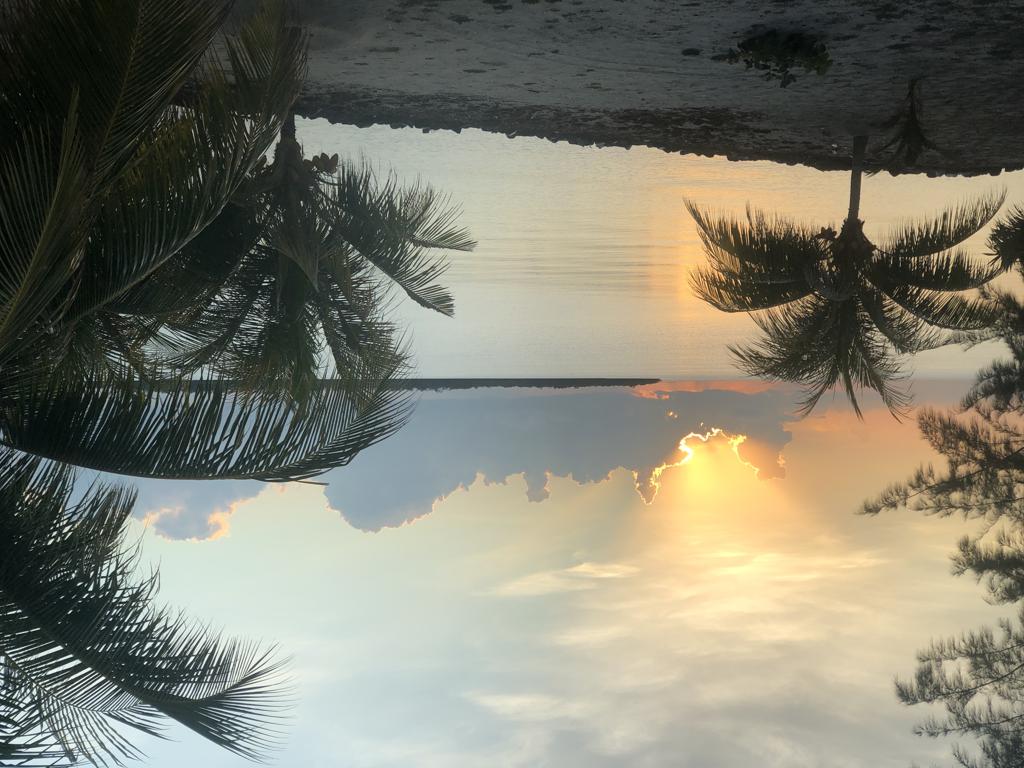 listing image with ID 63509