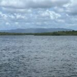 listing image thumbnail with ID 62122