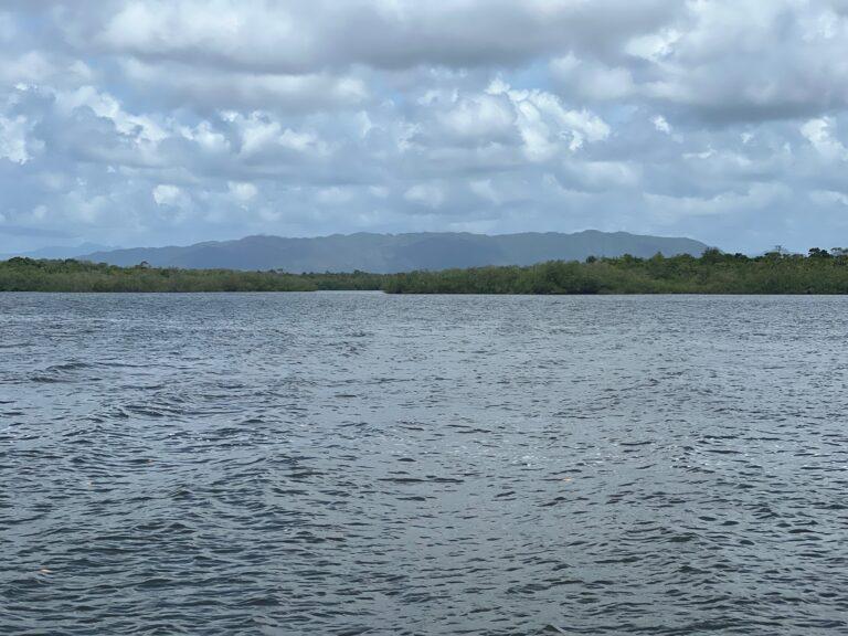 listing image with ID 62122