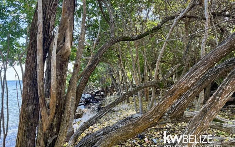 listing image with ID 63142