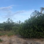 listing image thumbnail with ID 62406