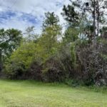 listing image thumbnail with ID 63461