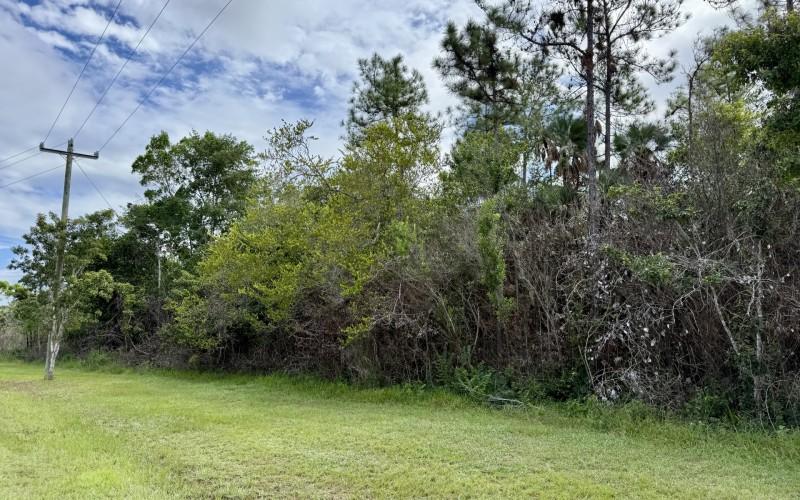 listing image with ID 63461