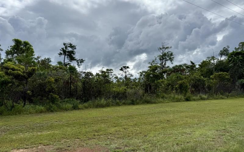 listing image with ID 63465