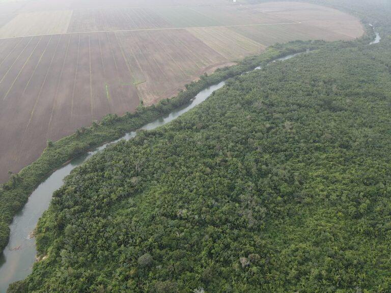 listing image with ID 62141