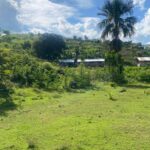 listing image thumbnail with ID 62165