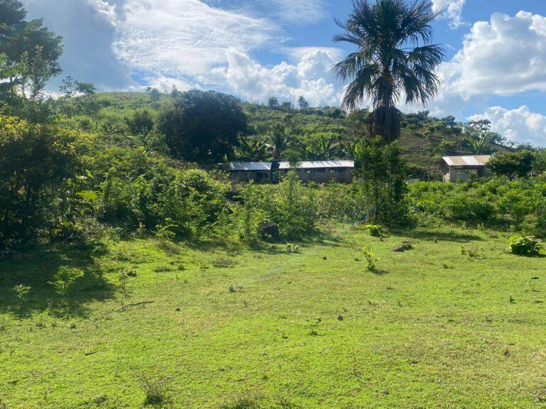 listing image with ID 62165