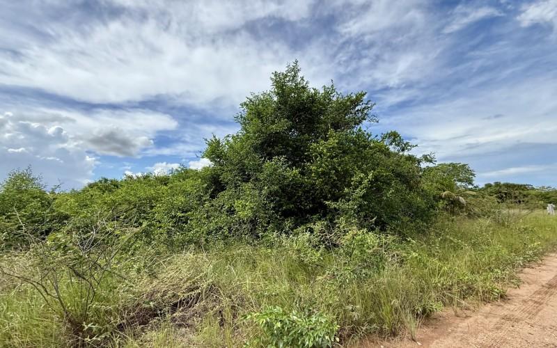 listing image with ID 62393