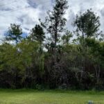 listing image thumbnail with ID 63460