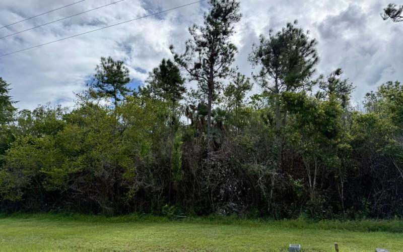 listing image with ID 63460