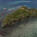 listing image thumbnail with ID 63451