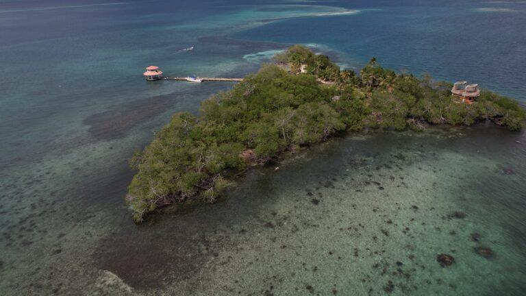 listing image with ID 63451