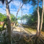 listing image thumbnail with ID 62256