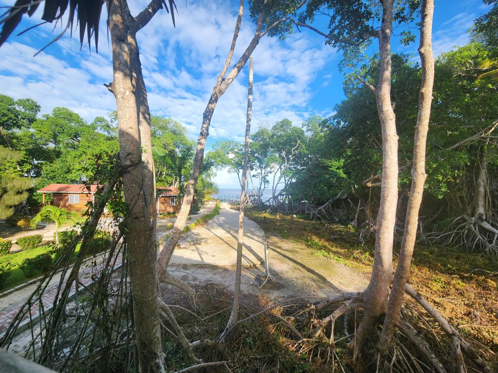 listing image with ID 62256