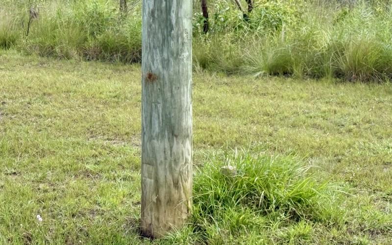 listing image with ID 63468