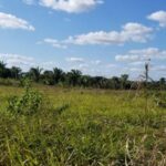 listing image thumbnail with ID 62140