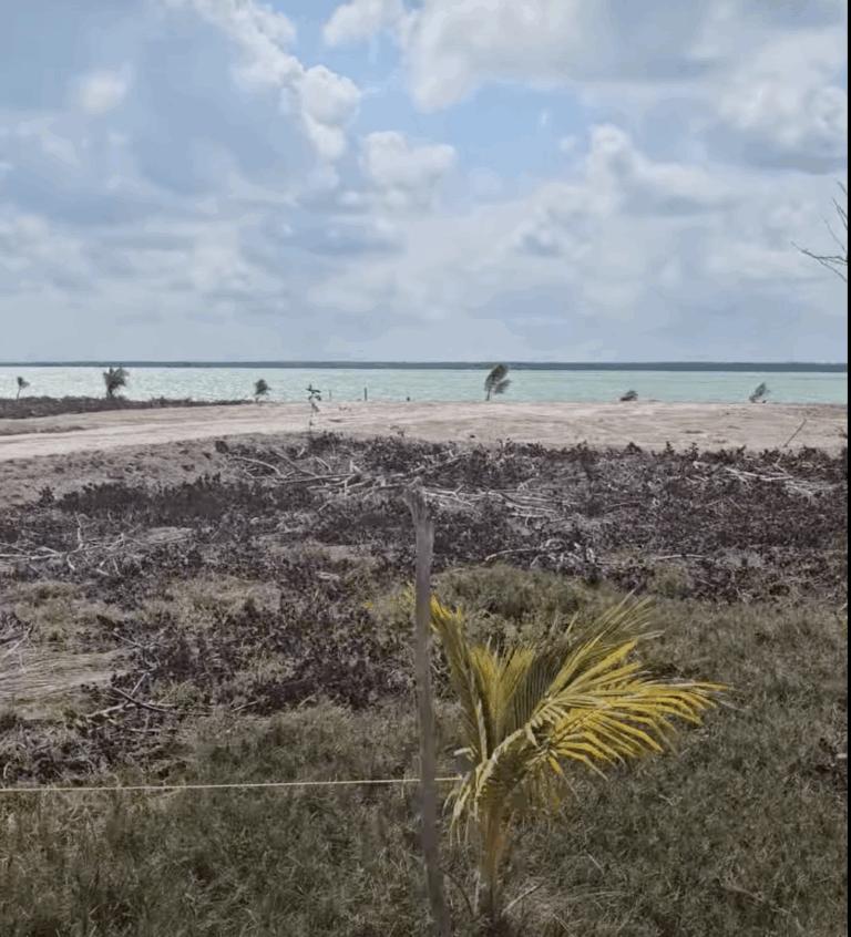 listing image with ID 62351