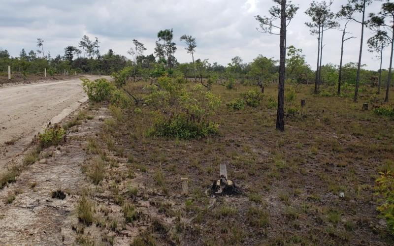 listing image with ID 62796