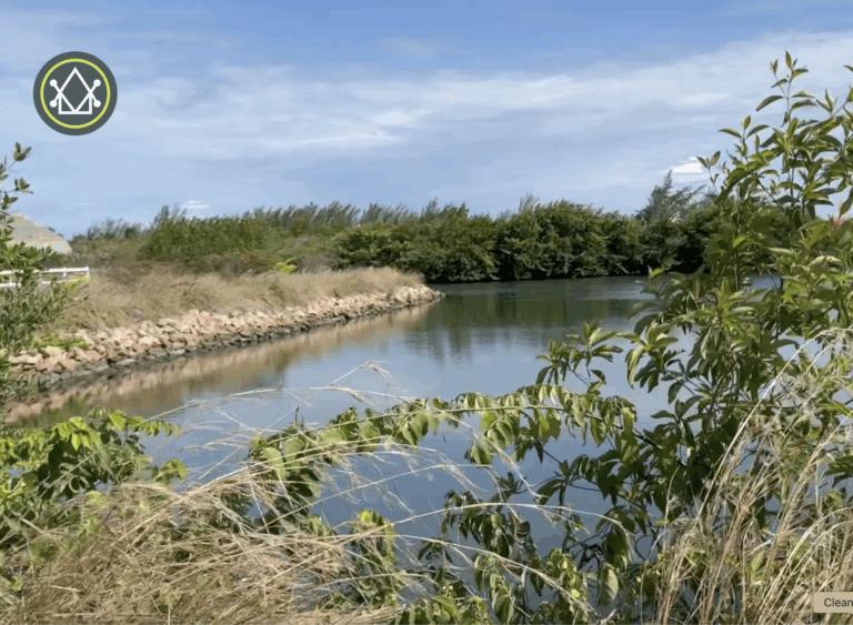 listing image with ID 62132