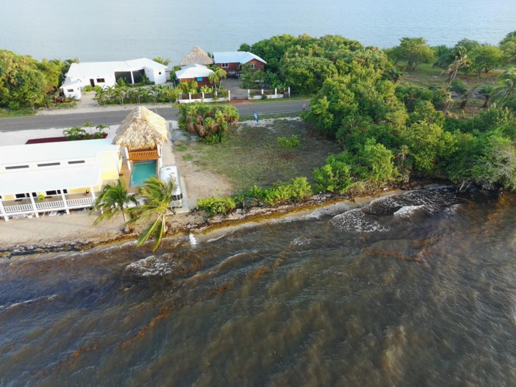 listing image with ID 63385