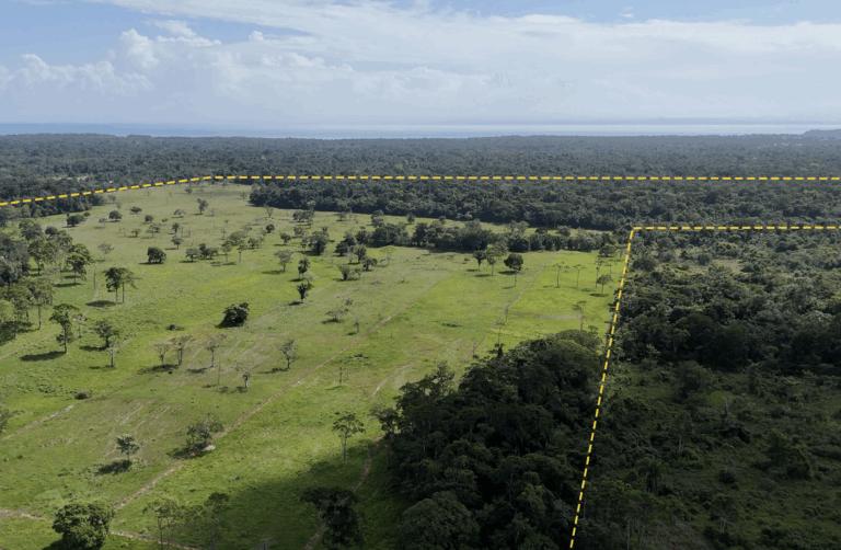 listing image with ID 62573