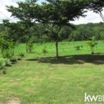 listing image thumbnail with ID 63029