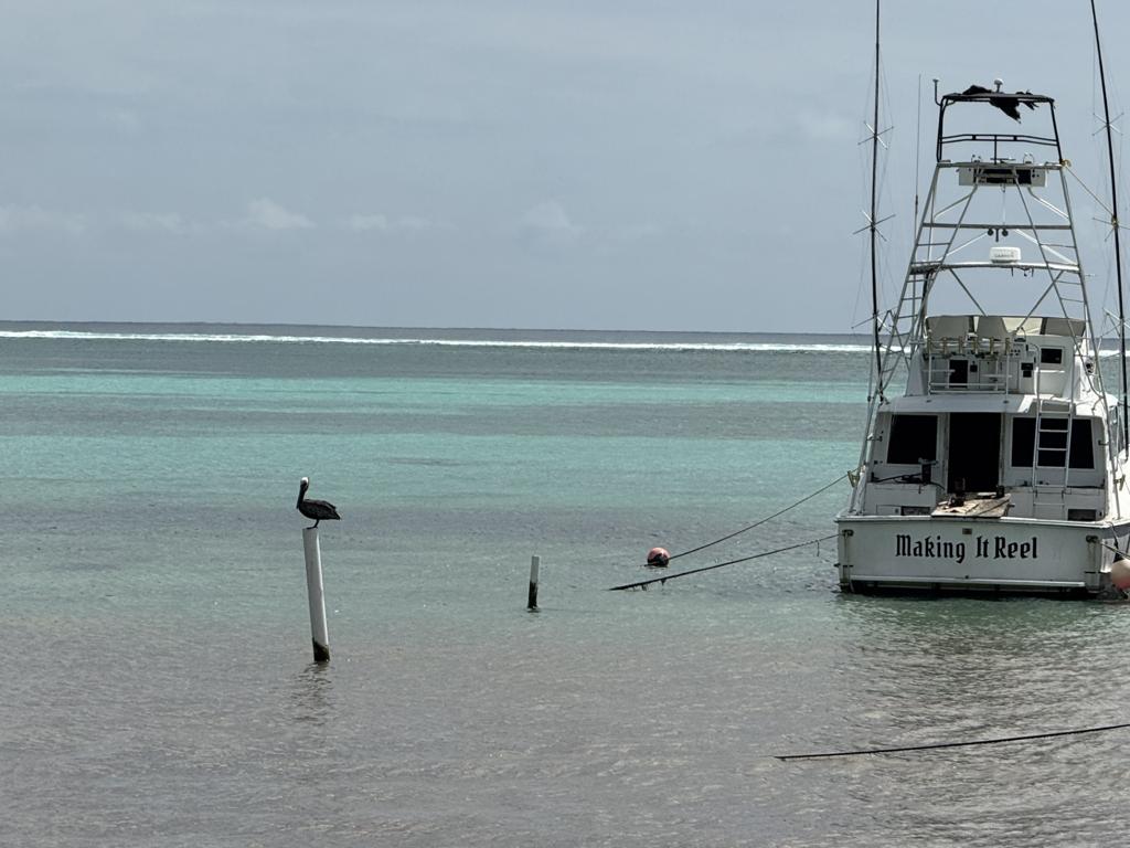 listing image with ID 62976