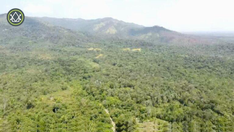 listing image with ID 62304