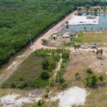 listing image thumbnail with ID 62120