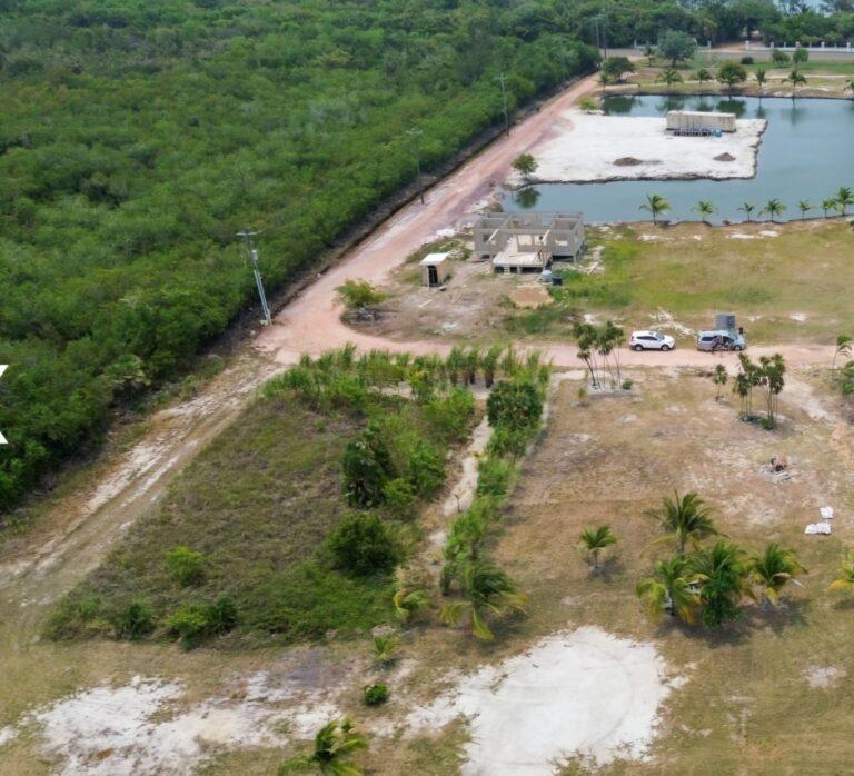 listing image with ID 62120