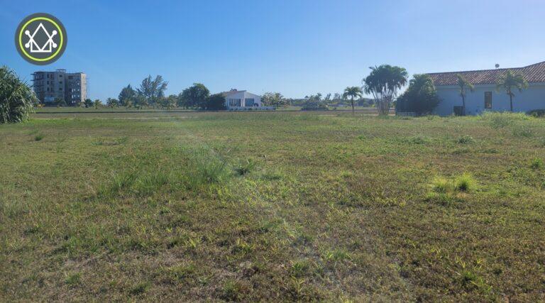 listing image with ID 62368