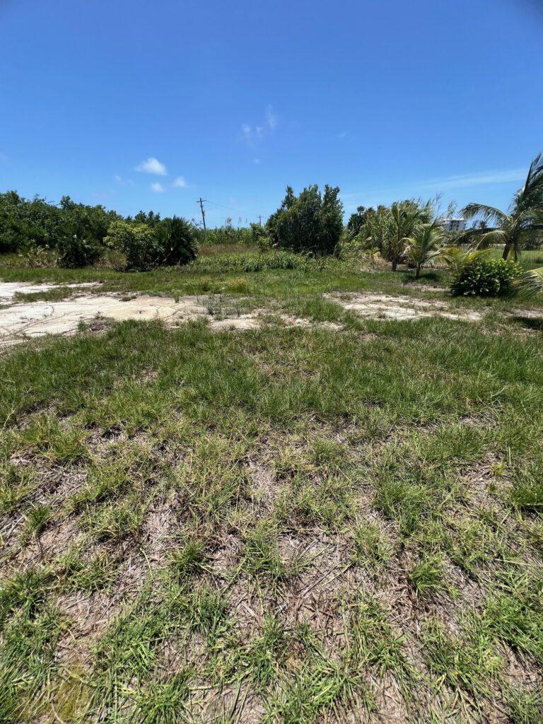 listing image with ID 62127