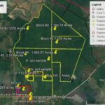 listing image thumbnail with ID 62144