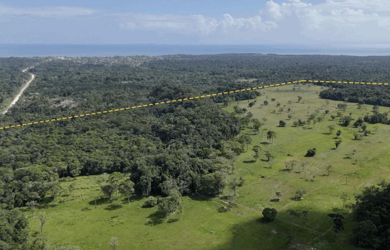 listing image with ID 62572