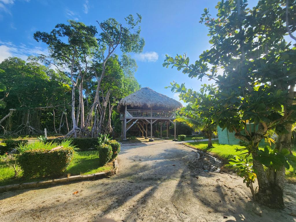 listing image with ID 62245