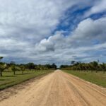 listing image thumbnail with ID 63475