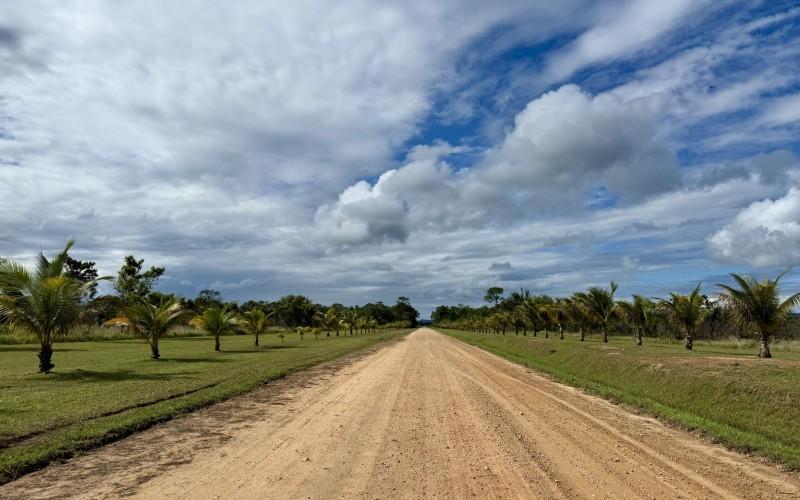 listing image with ID 63475