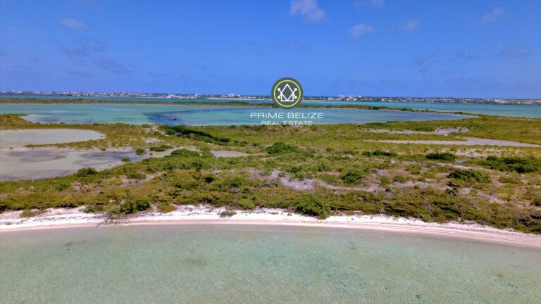 listing image with ID 62226