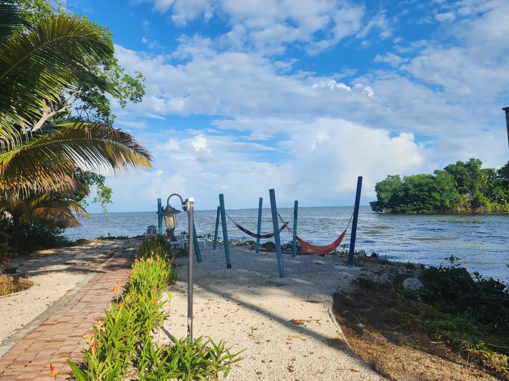 listing image with ID 62249