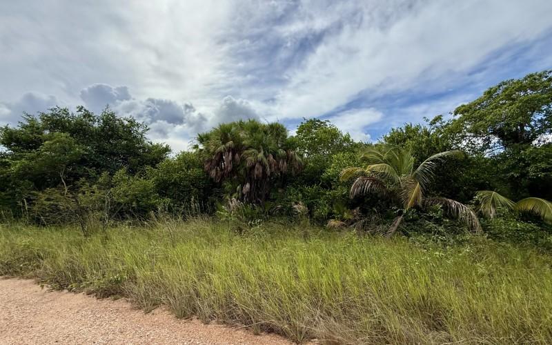 listing image with ID 62392