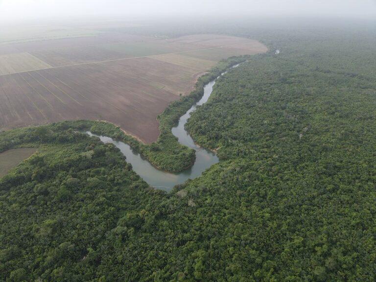 listing image with ID 62137