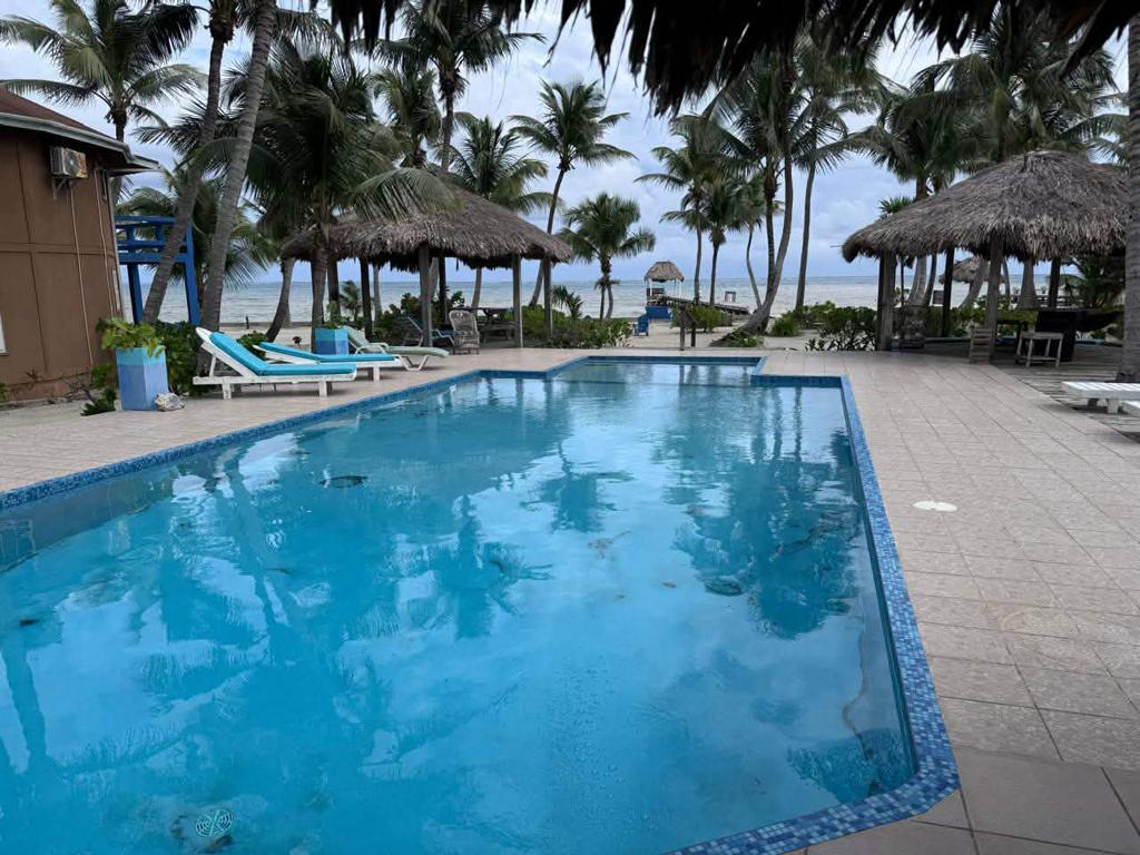 listing image with ID 63313