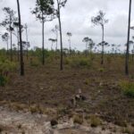 listing image thumbnail with ID 62802