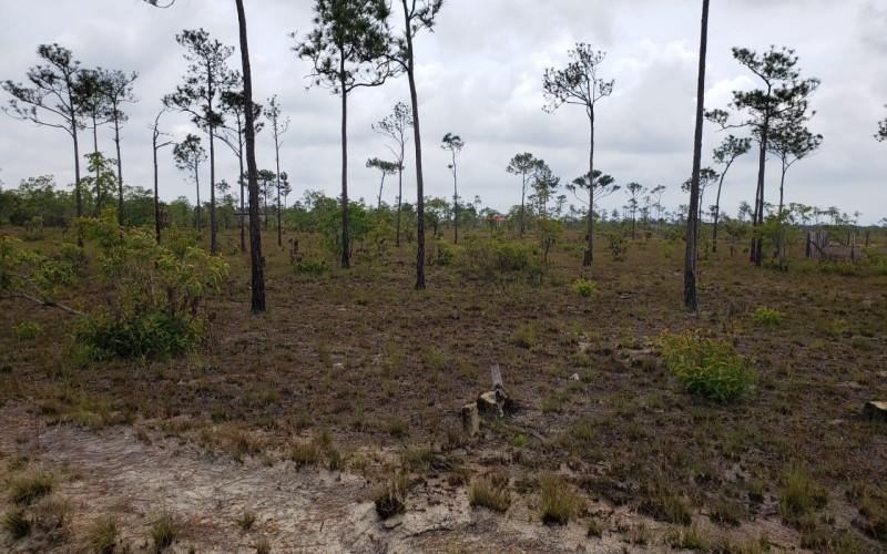 listing image with ID 62802