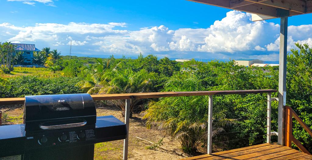 listing image with ID 62968