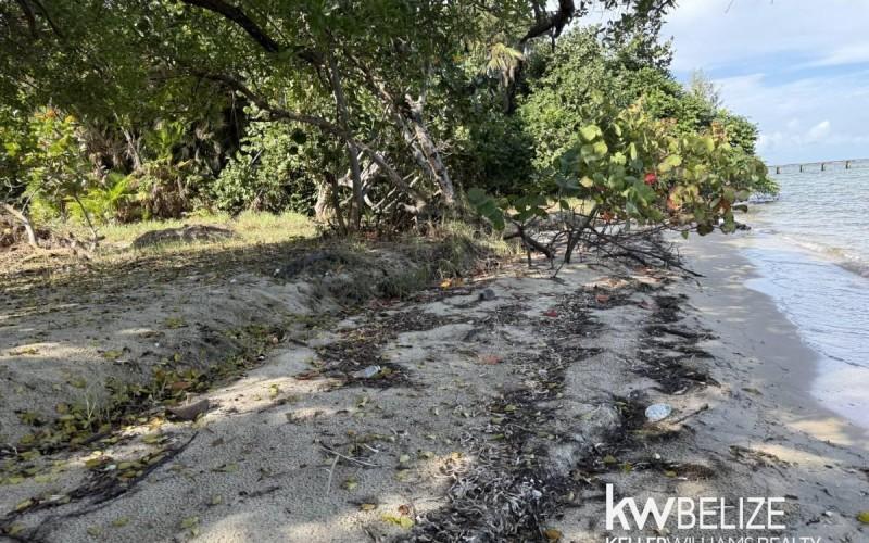 listing image with ID 63144