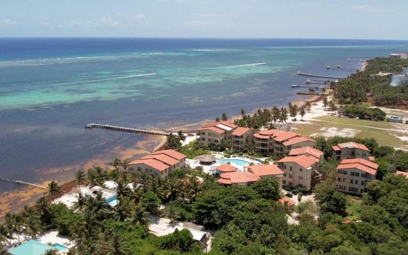 listing image with ID 62652