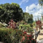 listing image thumbnail with ID 62550