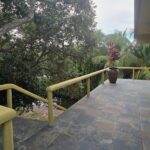 listing image thumbnail with ID 62343