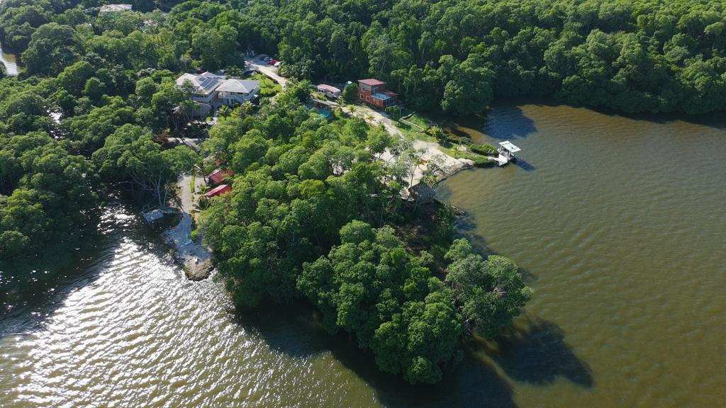 listing image with ID 62233